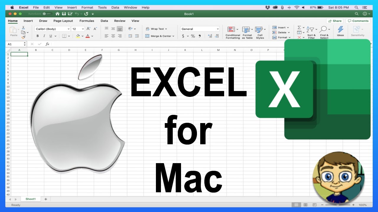 excel for windows on mac